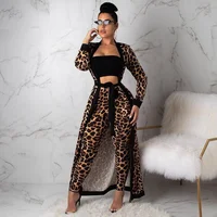 

2019 Latest design women clothing sets leopard print pant fashion 2 pcs sets outfit