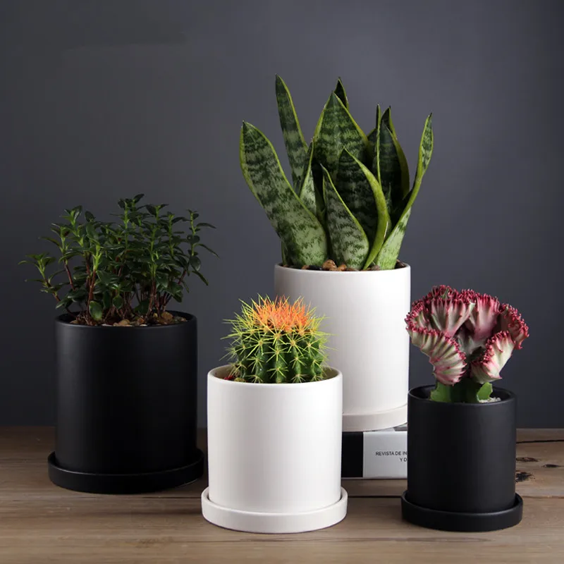 

Nordic Modern Decorative Plant Pots Ceramic Cylinder Succulent Planter Plant Flower Pot with Tray Drainage Hole, Matte white,black,grey