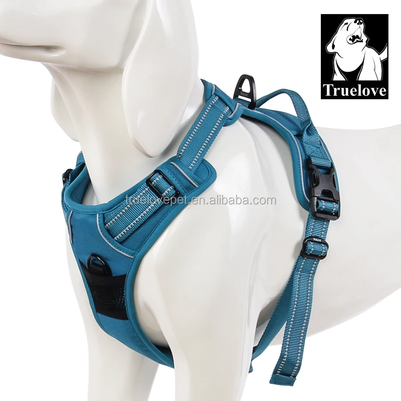 Huicai Adjustable Luxury Dog Harness Set Custom Personalized Pet Leash Set  Dog Harness Collar and Leash - China Dog Leash and Pet Toy price