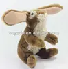 stuff animals