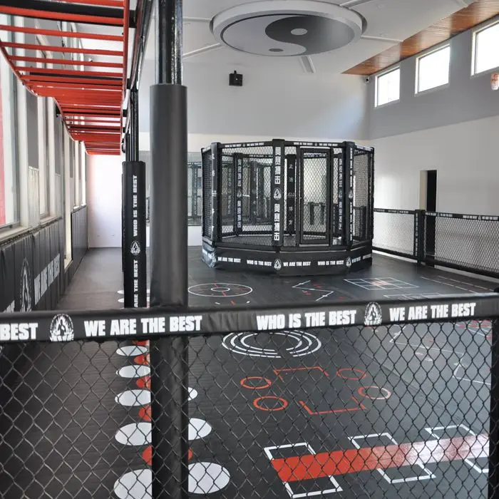 Costeffective International Mma Octagon Boxing Cage Used For Sale