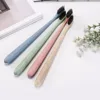 Environmentally Friendly Bamboo Charcoal Soft Hair Oral Cleaning Wheat Straw Toothbrush