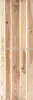 #1 Common White Ash (Fraxinus americana)