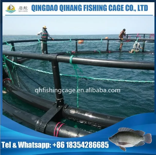 Hdpe Fish Cage,Fish Farming Equipment For Africa Market Buy Fish