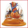 GD/A13013 Transparent Lung, Trachea and Bronchial Tree with Heart(anatomical model)
