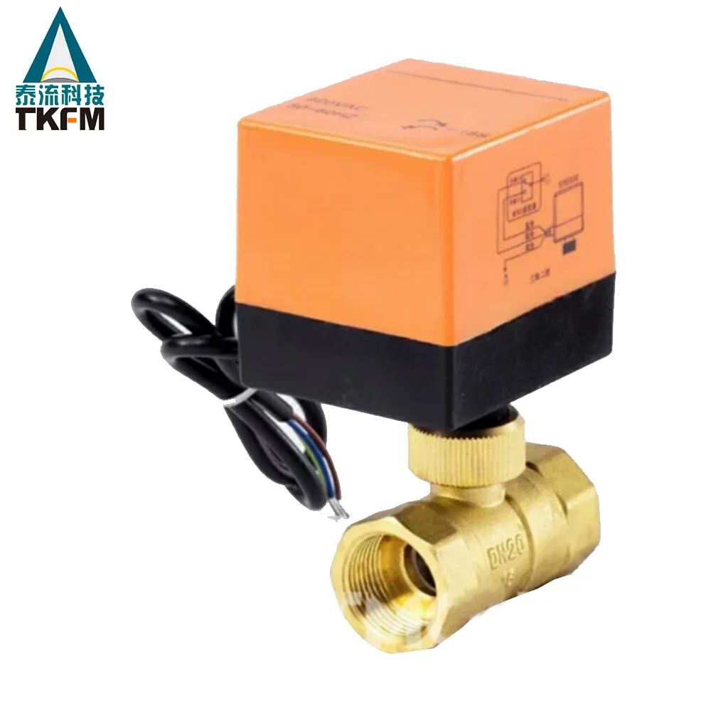 electricbrassvalve (1)