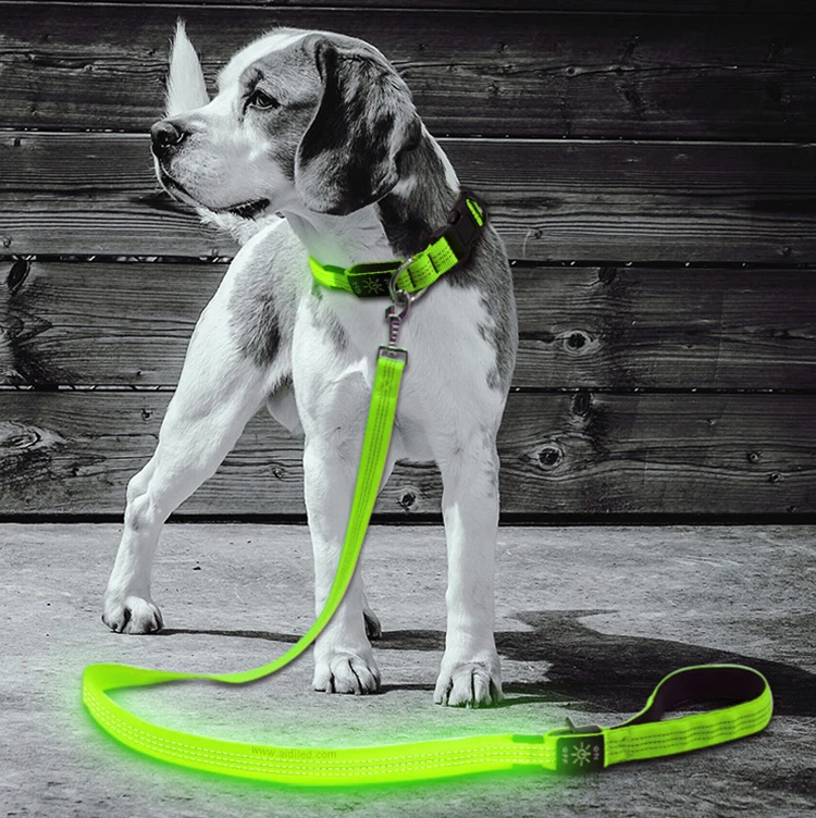2019 New Trend Pet Supply Factory Flashing Led Dog Lead Cheap Price AIDI Lighted Led Pet Dog Leash  Wholesale
