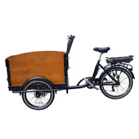 

Ready to Ship 3 Wheel Front Loading Electric Assist Family Cargo Tricycle Bike