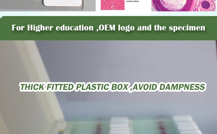 010 histology slides.jpg