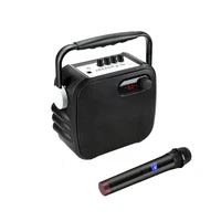 

Microphone Portable Pa Wireless Voice Karaoke Amplifier