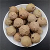 Mo Shi Zi chinese herb medicine nutgall / gallnut