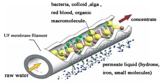 UF membrane principle.png
