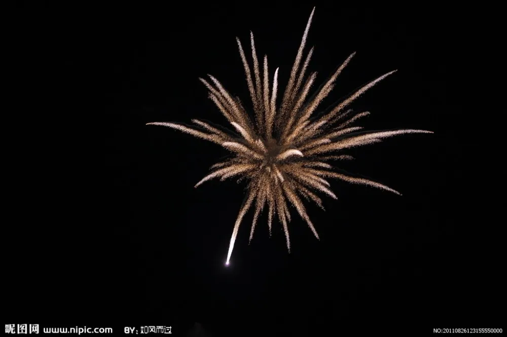 High Fe 98% Fireworks Crackers Used Iron Powder - China Iron Powder,  Primary Reduced Iron Powder