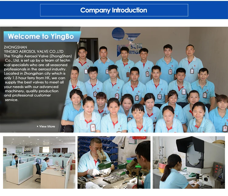 snow spray aerosol valves