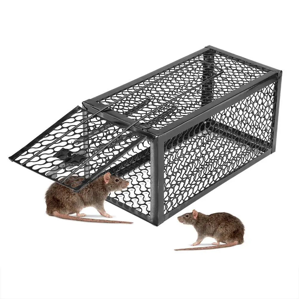 Cheap Live Catch Rat Traps, find Live Catch Rat Traps deals on line at ...