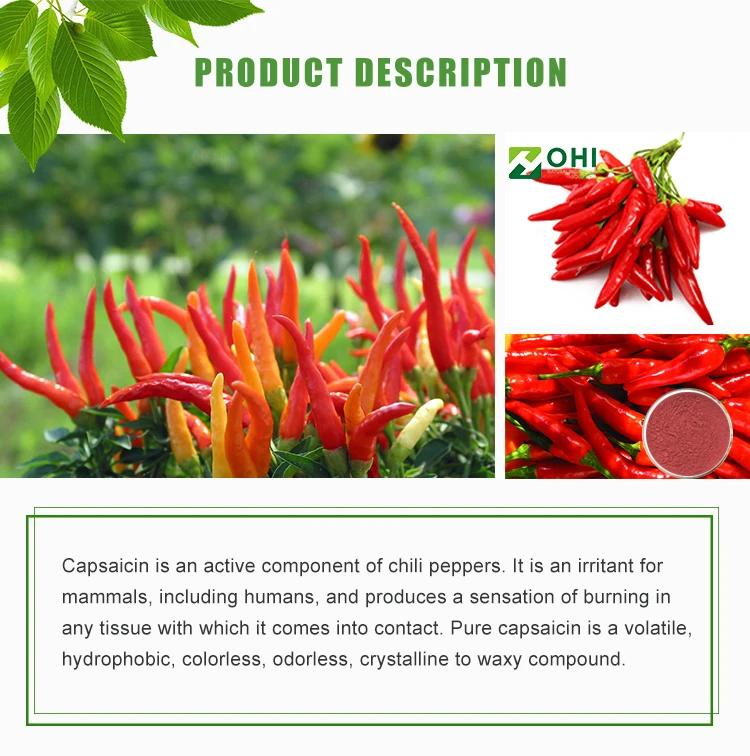 Fine Powder Capsicum Annuum L Extract Chilli Extract Powder Buy Chili