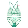 New Design Ladies Sexy Sheer Lace Bra And Panty Set Triangle Cup Lingerie Set Fashion Underwear