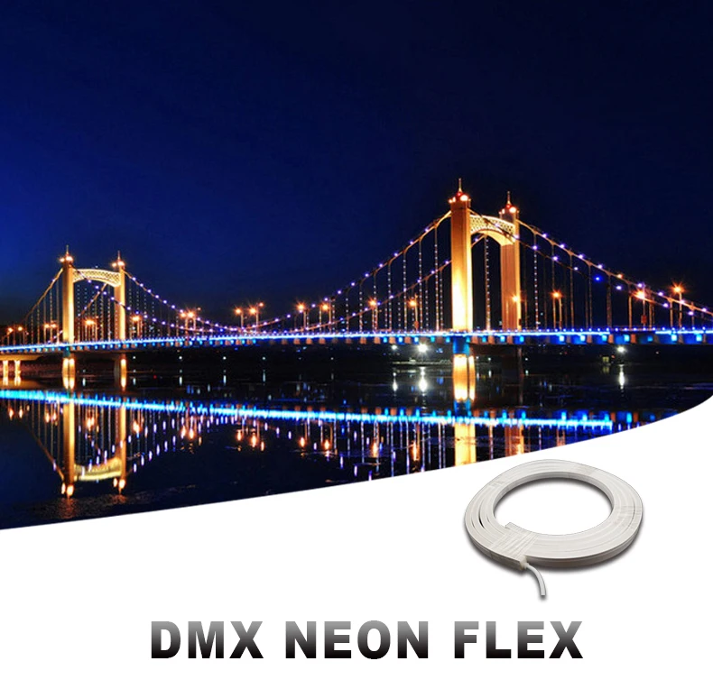 Neon Flex 1.jpg