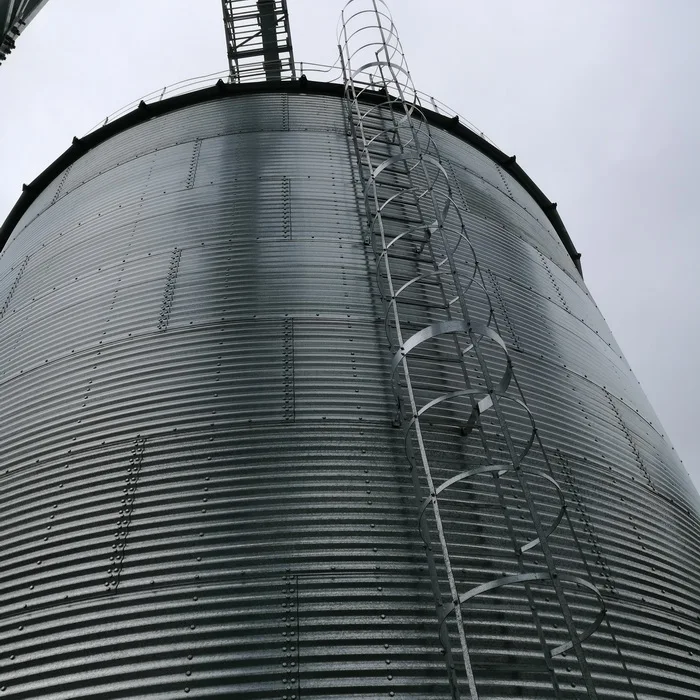 1000t Steel Structure Grain Storage Silo Factory Price - Buy 1000t 