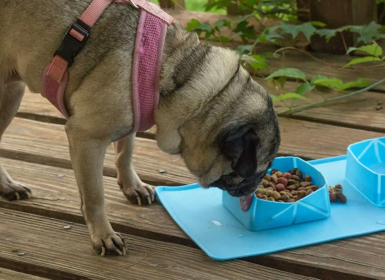 Durable Silicone Personalized Raised Dog Bowl Waterproof Weighted