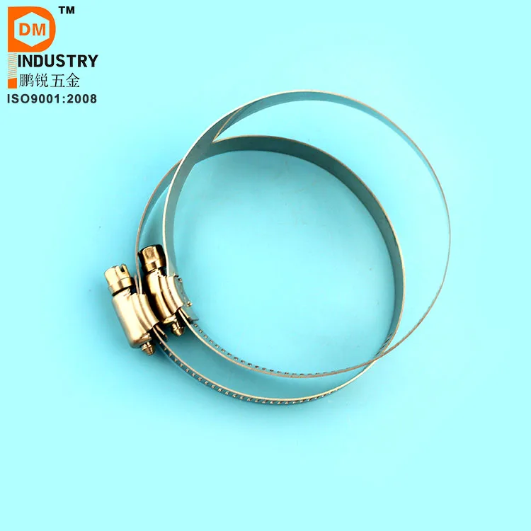 Hose Clamp  (34)