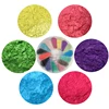 Colorful Pearl Pigment Mica Powder Pigment OEM Batch Packaging For Soap/Bath Body Wash/Epoxy Resin