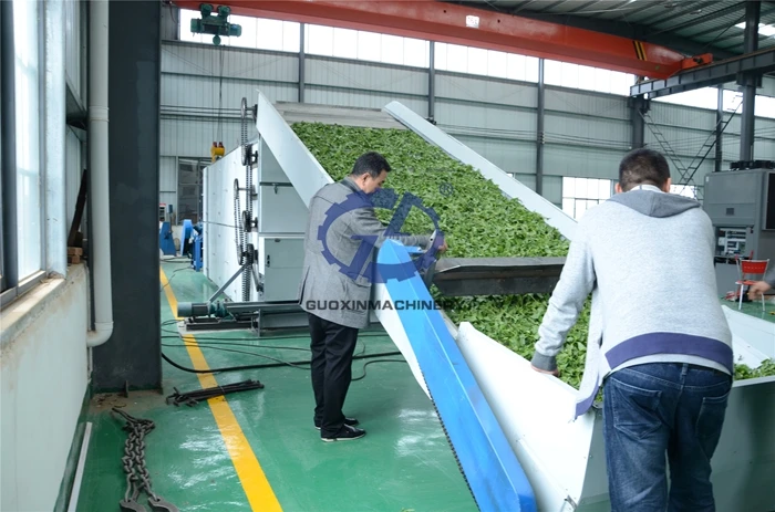 wholesale price 2T/h agricultural fibers automatic sisal hemp extracting machine