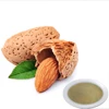 /product-detail/plant-extract-spice-tlc-fruit-powder-apricot-extract-shelled-almond-iran-60774706262.html