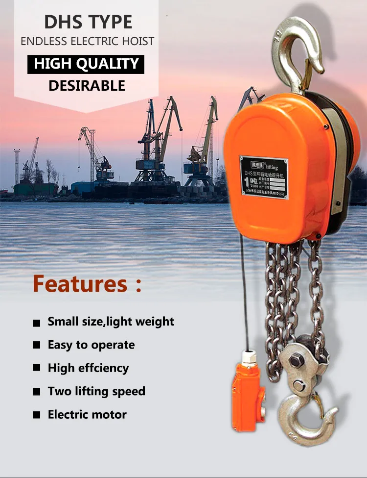 DHS electric hoist_1