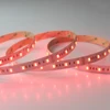 Online Retail Store 24W/M SMD 5050 RGB WW CW 5 Colors LED WIFI Controller Flex Strip