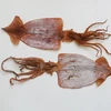 Good Quality New Arriving Dried Korea Squid