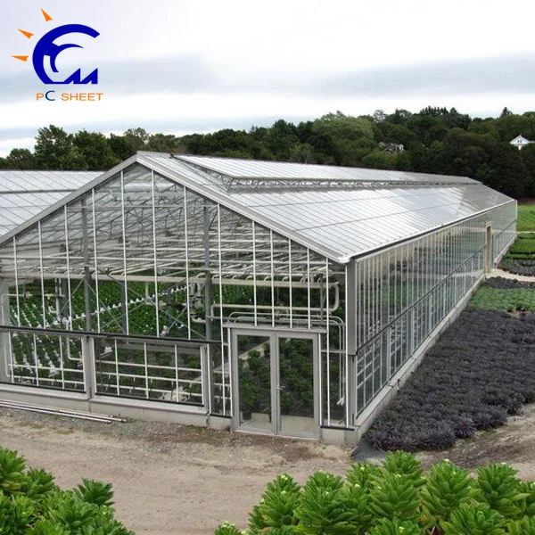 
mytext Commercial used commerica greenhouse for agriculture 