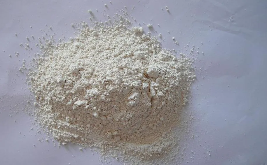 Dehydrated horseradish powder-first grade.jpg