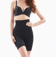 

OEM Shapewear Seamless Slimming High Waist Body Shaper Panty