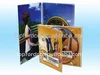 DVD Replication in Paper Jacket