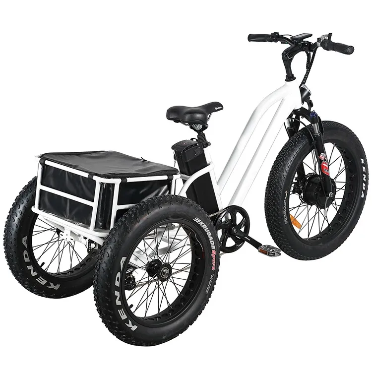 Fat Tire Three Wheels Pedal Assisted E Bike Cargo Electric Tricycle ...