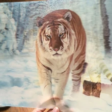 Promosi 3d Gambar Harimau Beli Produk Item Wallpaper Span