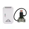 DC power supply network combustible gas detector working with Solenoid valve