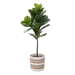 Woven Cotton Rope Storage Plant Basket Organizer Flower Pot Floor Indoor Planters