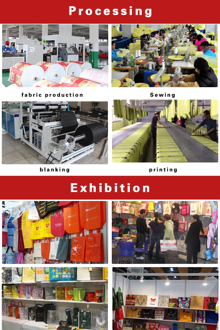 non woven bag 5.jpg