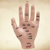 Acupuncture model of human hand hand care hand massage model