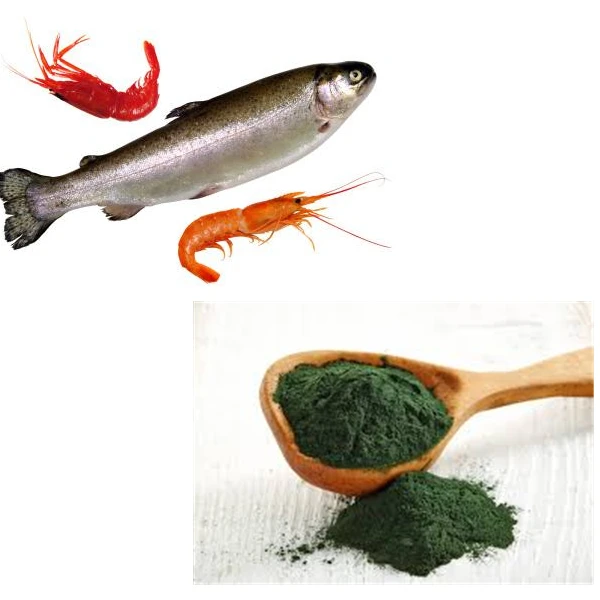 Gmp Factory Supply High Quality Spirulina Powder Animal Feed In Fish