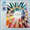 Colorful paper presentation file folder with elastic closure