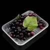 Rectangular Custom Made PP Plastic Food Biodegradable Meat Tray