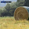 Agriculture round plastic hay bale net wrap for horse