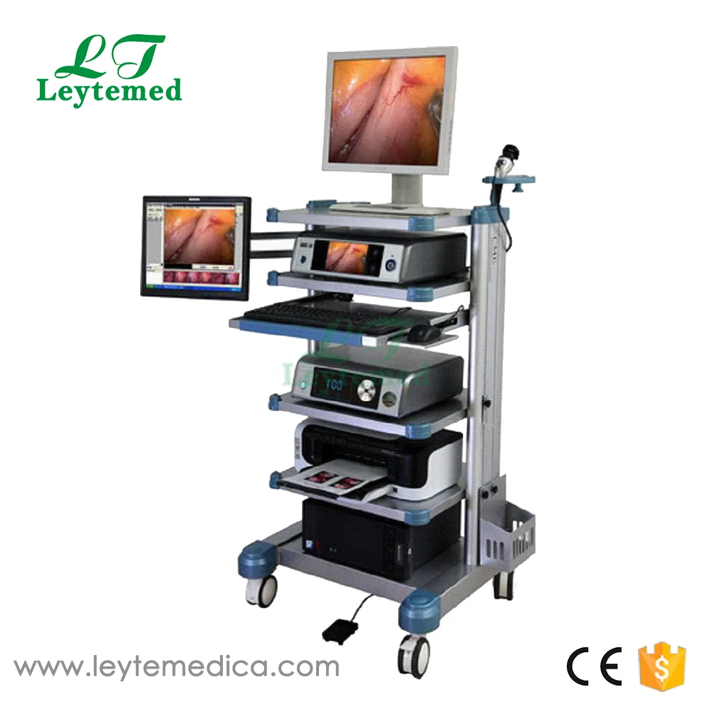 LTEP01 -1.jpg
