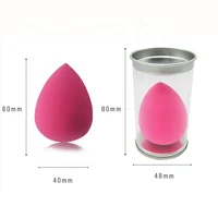 

Hot Sale Beauty Cosmetic Beauty Sponge Different Shape Powder Puff Makeup Sponge Case