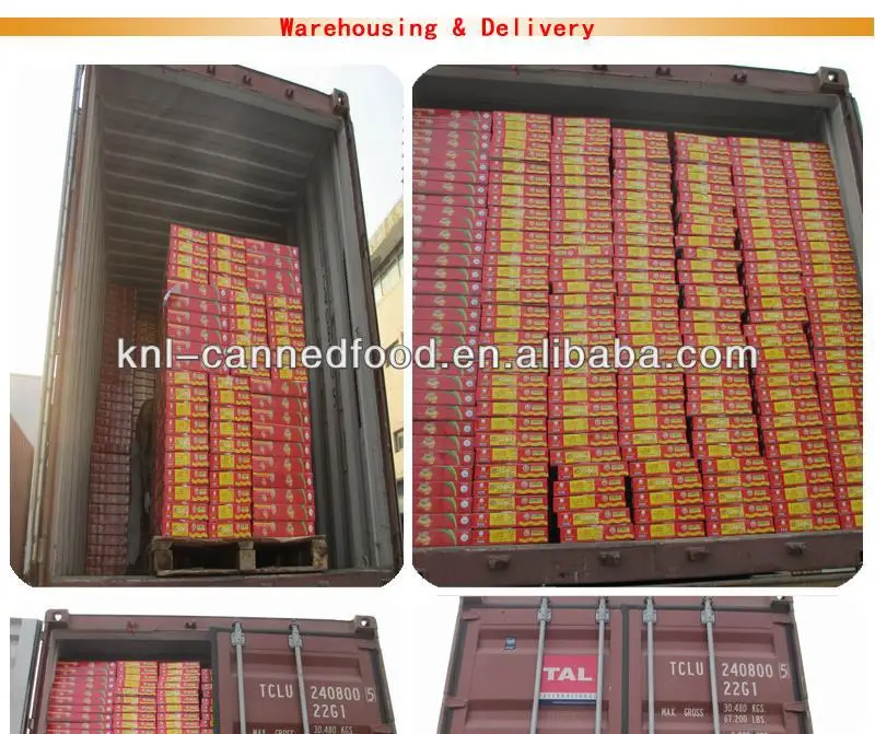 Tin tomato paste in can tomato paste production line 210gx48tins