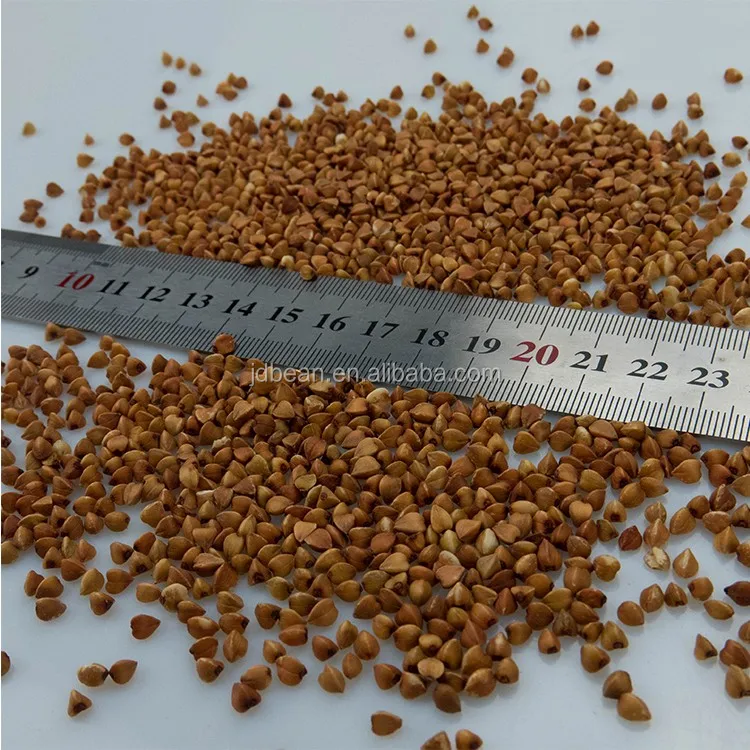 
Wholesale High Quality Buckwheat With Best Price 