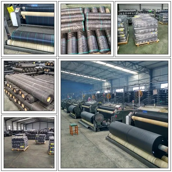 2345_image_file_copy_5